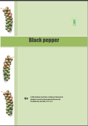 black pepper