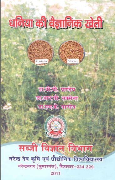 black pepper