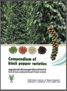black pepper