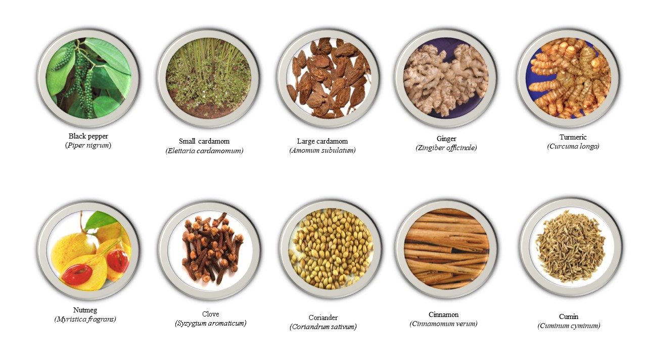 Spices